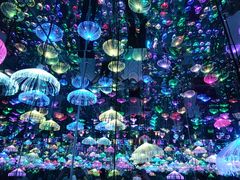-梵高星空艺术馆(北京旗舰店)