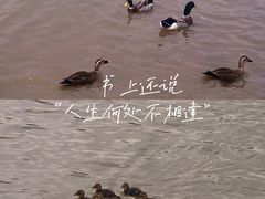 -海珠湖公园