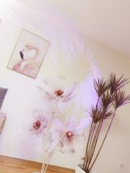 -美肤盾祛痘·问题肌头疗管理中心