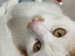 -平行世界·猫咖(首经贸店)