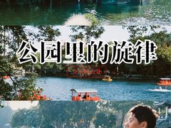 -荔湾湖公园