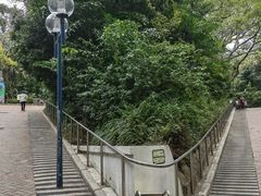 -九龙公园