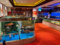 -惠食佳(滨江大公馆店)