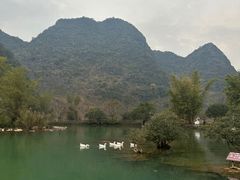 -靖西鹅泉风景区