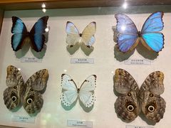 -昆明动物博物馆
