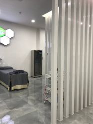 -莱可美科技美肤