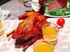 -大鸽饭(体育西路店)