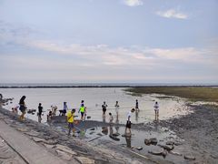 -南汇嘴观海公园