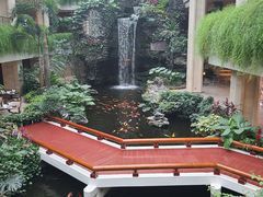 -白天鹅宾馆-宏图府餐厅