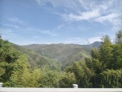 -大围山国家森林公园