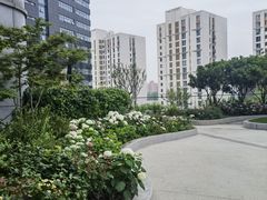 -上海虹桥祥源希尔顿酒店
