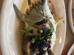-新金盛·海鲜酒楼(盐田店)