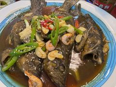 -呼吸森林·生态农庄农家乐私房菜