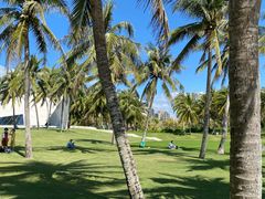 -海南清水湾莱佛士酒店