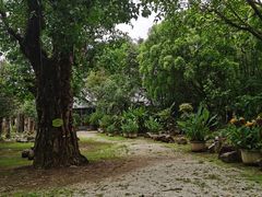 -云南勐巴娜西珍奇园