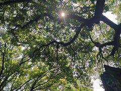 -宁波市保国寺古建筑博物馆