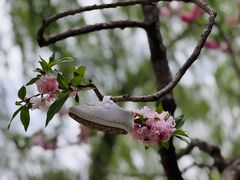 -陶然亭公园