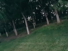 -望湖公园