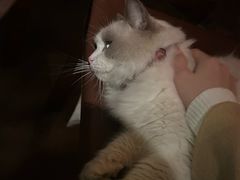 -故遥酒馆.赛事直播