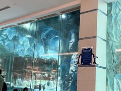 -帝企鹅自助餐厅•儿童岛•真企鹅(长隆企鹅酒店)