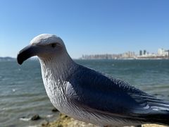 -泊石湾海滨浴场
