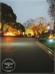 -灵伽瑜伽