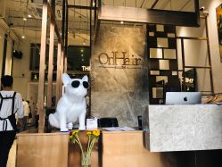 -OnHair Salon