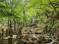 -本溪汤沟绿石谷森林公园