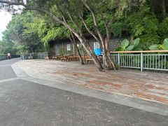 -金鸡山公园