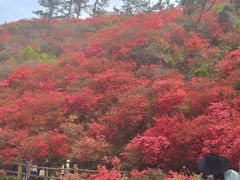 -木兰云雾山