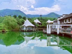 -帐篷客·溪龙茶谷度假酒店