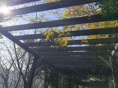 -九龙潭景区
