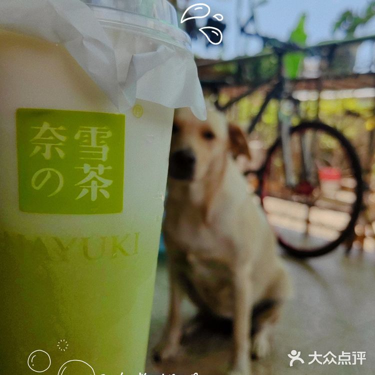 奈雪又放大招🥤霸气青提19r赶紧冲