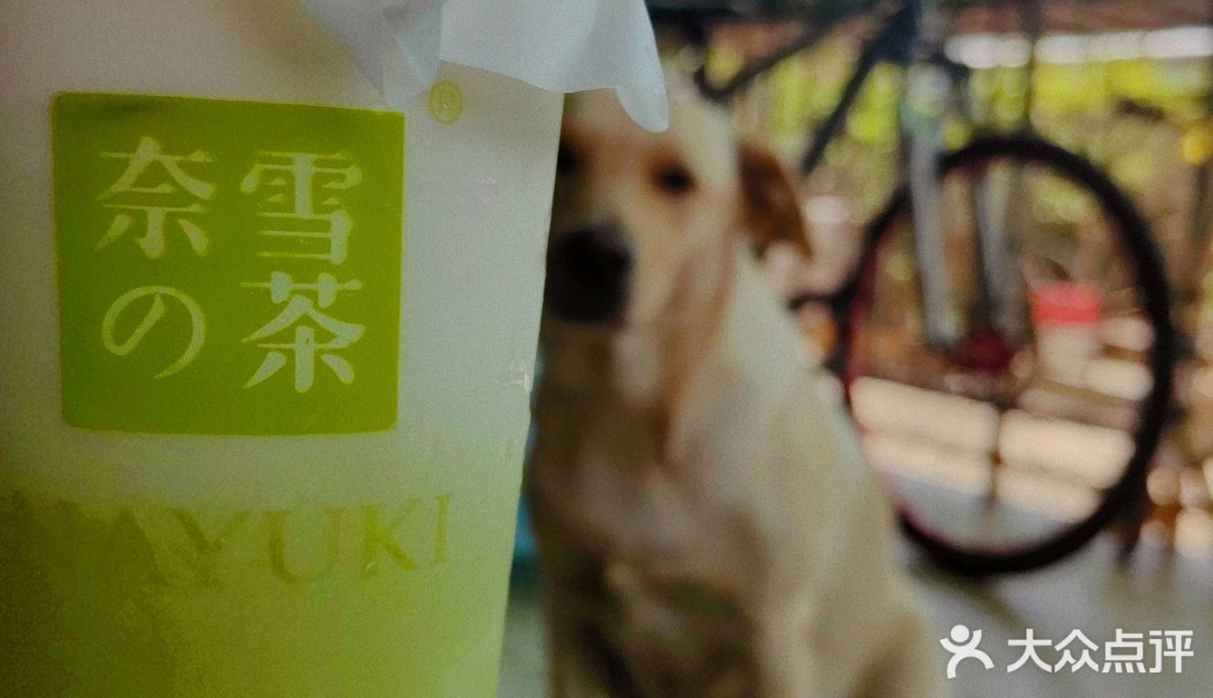 奈雪又放大招🥤霸气青提19r赶紧冲