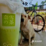 奈雪又放大招🥤霸气青提19r赶紧冲