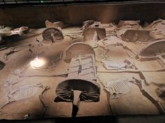 -洛阳周王城天子驾六博物馆