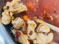 -水碾河肥兔火锅(水碾河店)