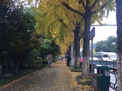 -北纬37°SPA养身会馆(湖西店)