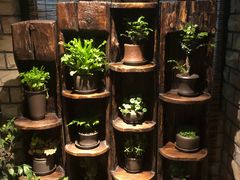 -慢丽江·云南野生菌土鸡锅(付家庄店)