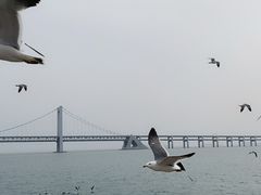 -星海广场