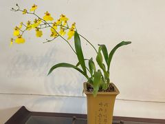 -沧浪亭