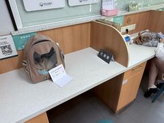 -联合动物医院(光谷诊疗中心)