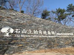 -北京西山国家森林公园