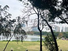 -南宁南湖公园