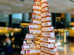 -新加坡瑞士史丹福酒店