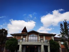 -上海海湾国家森林公园