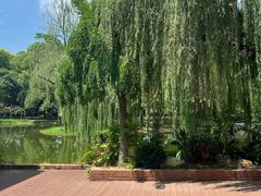 -橘洲1925湖湘餐厅