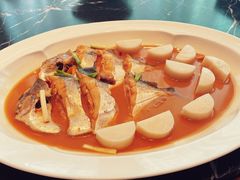 鲳鱼烧年糕-新荣记(新源南路店)