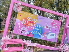 -金鸡湖桃花岛