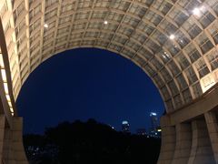 -新加坡丽思卡尔顿美年酒店